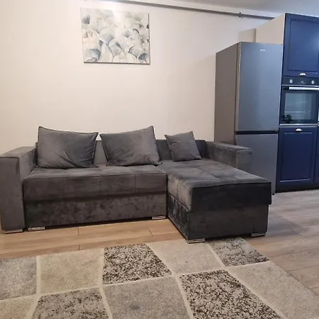 Daniela Apartament's 17 *